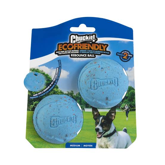 Chuckit! Rebounce Ball 2 Pack Medium