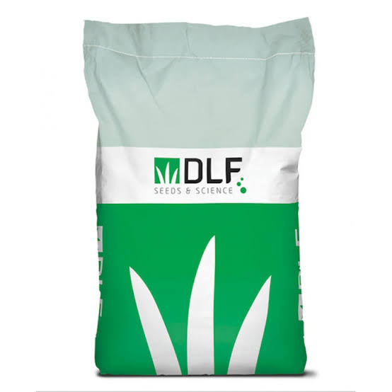 DLF 4N Grazer Grass Seed