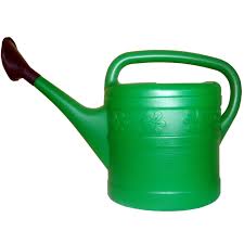 Watering Can 10L
