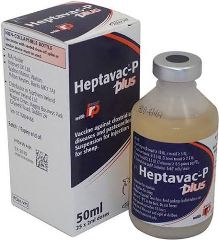 Heptavac P Plus