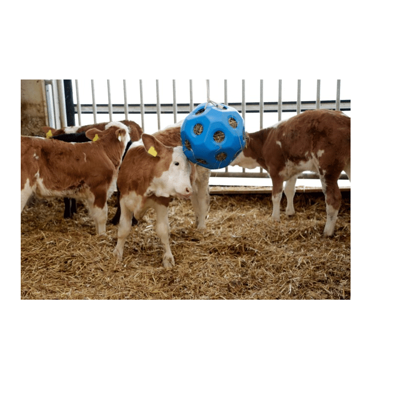Feed play ball blue