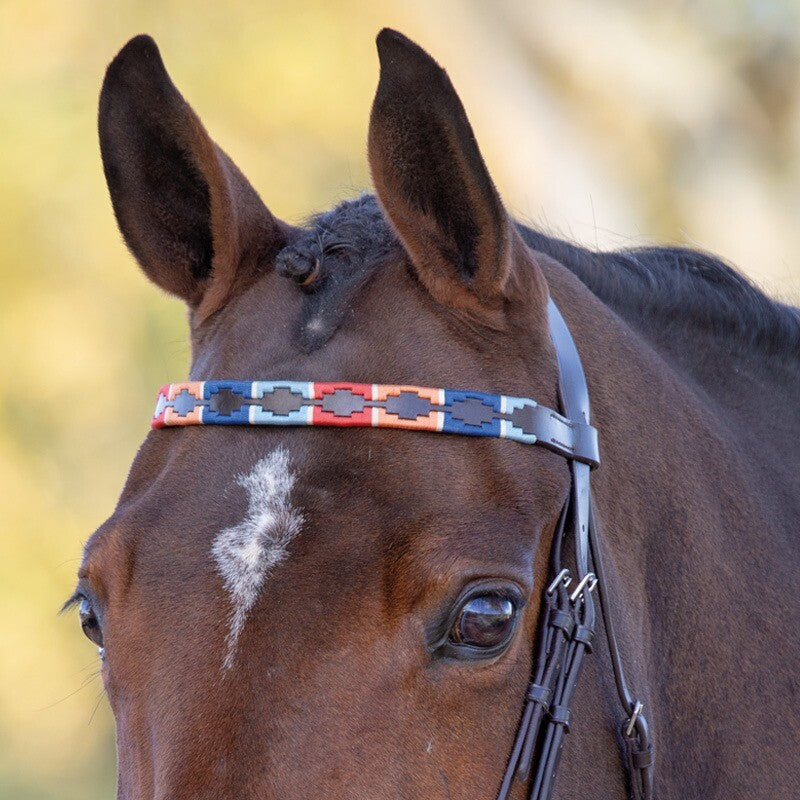 Velociti GARA Leather Polo Browband