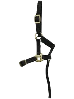 Nylon Foal Headcollar