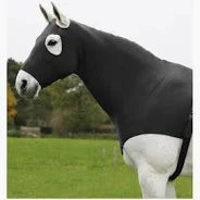 Wauldhaussen Stretch Hood Black