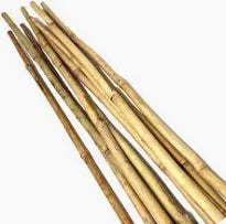 Bamboo Canes 3ft 10 pack 1.5sq