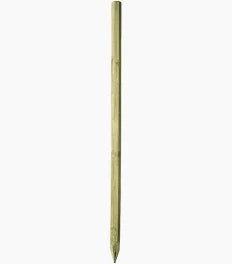Octo Timber Fence Posts (Green Treated)